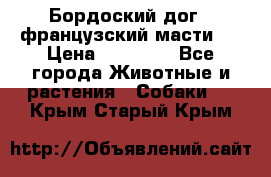 Бордоский дог ( французский масти)  › Цена ­ 50 000 - Все города Животные и растения » Собаки   . Крым,Старый Крым